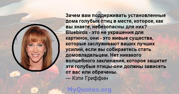 Зачем вам поддерживать установленные дома голубых птиц в месте, которое, как вы знаете, небезопасны для них? Bluebirds - это не украшения для картинок, они - это живые существа, которые заслуживают ваших лучших усилий,