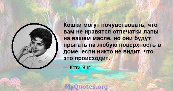 Кошки могут почувствовать, что вам не нравятся отпечатки лапы на вашем масле, но они будут прыгать на любую поверхность в доме, если никто не видит, что это происходит.