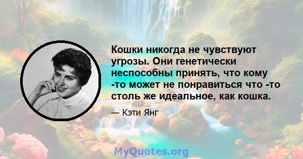 Кошки никогда не чувствуют угрозы. Они генетически неспособны принять, что кому -то может не понравиться что -то столь же идеальное, как кошка.