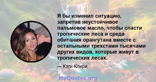 Я бы изменил ситуацию, запретив неустойчивое пальмовое масло, чтобы спасти тропические леса и среда обитания орангутана вместе с остальными трехстами тысячами других видов, которые живут в тропических лесах.