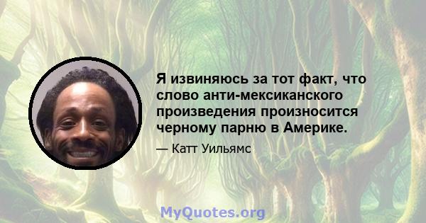 Я извиняюсь за тот факт, что слово анти-мексиканского произведения произносится черному парню в Америке.