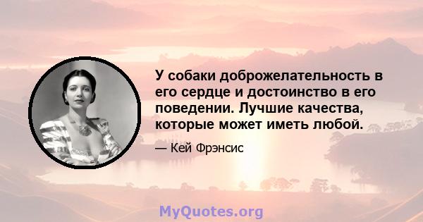 У собаки доброжелательность в его сердце и достоинство в его поведении. Лучшие качества, которые может иметь любой.