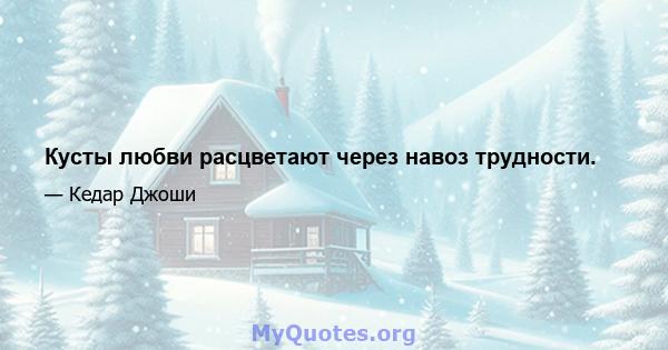 Кусты любви расцветают через навоз трудности.