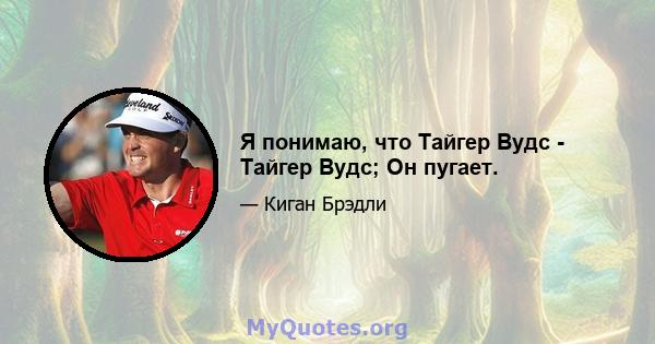 Я понимаю, что Тайгер Вудс - Тайгер Вудс; Он пугает.