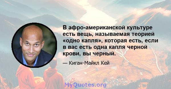 В афро-американской культуре есть вещь, называемая теорией «одно капля», которая есть, если в вас есть одна капля черной крови, вы черный.