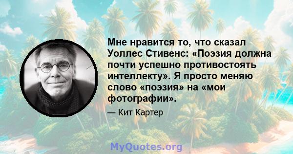 Мне нравится то, что сказал Уоллес Стивенс: «Поэзия должна почти успешно противостоять интеллекту». Я просто меняю слово «поэзия» на «мои фотографии».