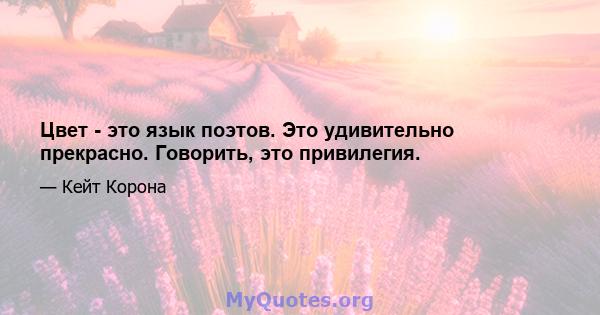 Цвет - это язык поэтов. Это удивительно прекрасно. Говорить, это привилегия.