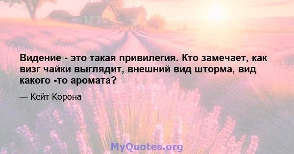 Видение - это такая привилегия. Кто замечает, как визг чайки выглядит, внешний вид шторма, вид какого -то аромата?