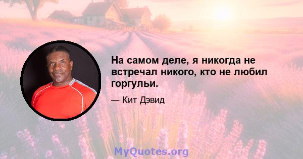 На самом деле, я никогда не встречал никого, кто не любил горгульи.