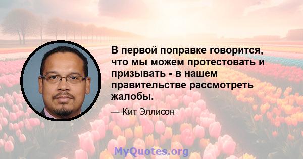 В первой поправке говорится, что мы можем протестовать и призывать - в нашем правительстве рассмотреть жалобы.