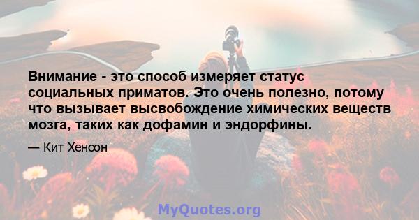 Внимание - это способ измеряет статус социальных приматов. Это очень полезно, потому что вызывает высвобождение химических веществ мозга, таких как дофамин и эндорфины.