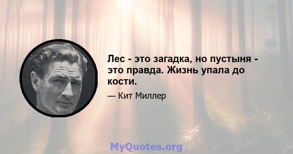 Лес - это загадка, но пустыня - это правда. Жизнь упала до кости.