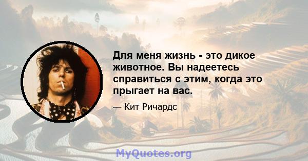 Для меня жизнь - это дикое животное. Вы надеетесь справиться с этим, когда это прыгает на вас.