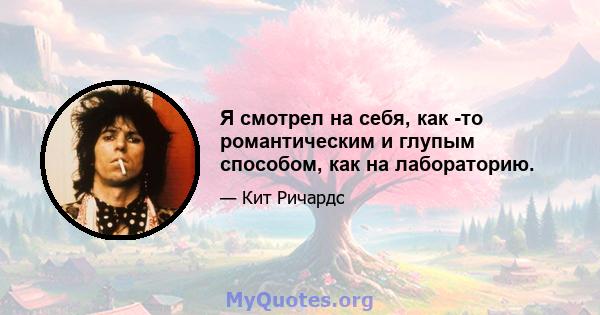 Я смотрел на себя, как -то романтическим и глупым способом, как на лабораторию.