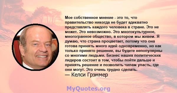 Мое собственное мнение - это то, что правительство никогда не будет адекватно представлять каждого человека в стране. Это не может. Это невозможно. Это многокультурное, многогранное общество, в котором мы живем. Я