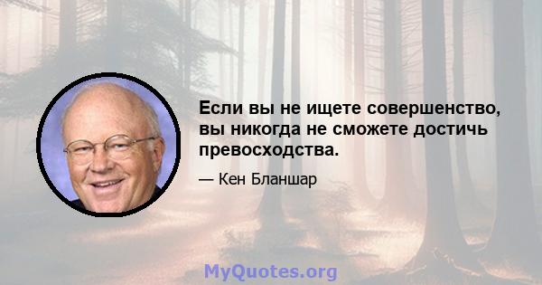 Если вы не ищете совершенство, вы никогда не сможете достичь превосходства.