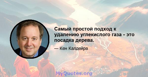 Самый простой подход к удалению углекислого газа - это посадка дерева.