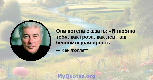 Она хотела сказать: «Я люблю тебя, как гроза, как лев, как беспомощная ярость».