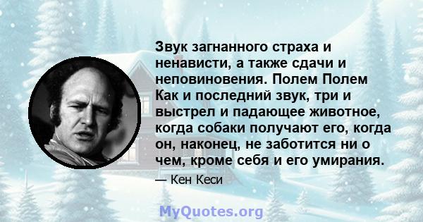 Звук загнанного страха и ненависти, а также сдачи и неповиновения. Полем Полем Как и последний звук, три и выстрел и падающее животное, когда собаки получают его, когда он, наконец, не заботится ни о чем, кроме себя и