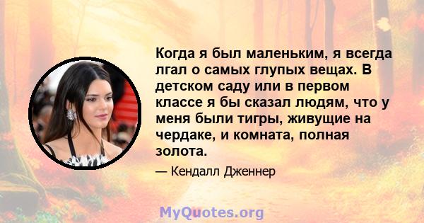 Когда я был маленьким, я всегда лгал о самых глупых вещах. В детском саду или в первом классе я бы сказал людям, что у меня были тигры, живущие на чердаке, и комната, полная золота.