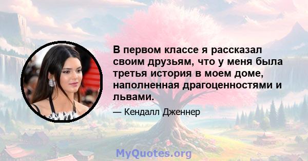 В первом классе я рассказал своим друзьям, что у меня была третья история в моем доме, наполненная драгоценностями и львами.