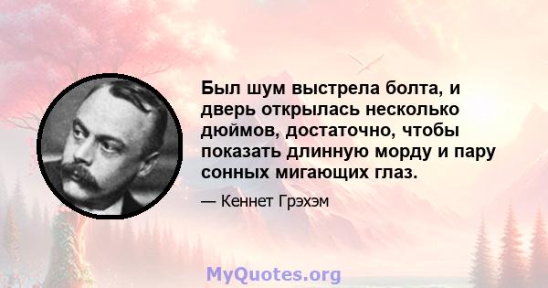 Был шум выстрела болта, и дверь открылась несколько дюймов, достаточно, чтобы показать длинную морду и пару сонных мигающих глаз.