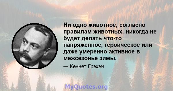 Ни одно животное, согласно правилам животных, никогда не будет делать что-то напряженное, героическое или даже умеренно активное в межсезонье зимы.