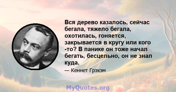 Вся дерево казалось, сейчас бегала, тяжело бегала, охотилась, гоняется, закрывается в кругу или кого -то? В панике он тоже начал бегать, бесцельно, он не знал куда.