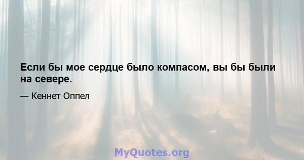 Если бы мое сердце было компасом, вы бы были на севере.