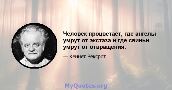 Человек процветает, где ангелы умрут от экстаза и где свиньи умрут от отвращения.