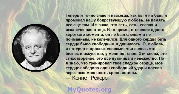 Теперь я точно знаю и навсегда, как бы я ни был, я промокал нашу бодрствующую любовь, ее память все еще там. И я знаю, что сеть, сеть, слепая и искалеченная птица. В то время, в течение одного короткого момента, он не