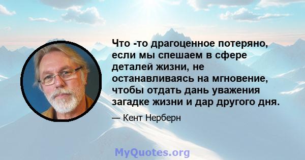 Что -то драгоценное потеряно, если мы спешаем в сфере деталей жизни, не останавливаясь на мгновение, чтобы отдать дань уважения загадке жизни и дар другого дня.