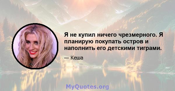 Я не купил ничего чрезмерного. Я планирую покупать остров и наполнить его детскими тиграми.