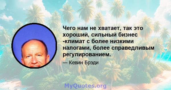 Чего нам не хватает, так это хороший, сильный бизнес -климат с более низкими налогами, более справедливым регулированием.