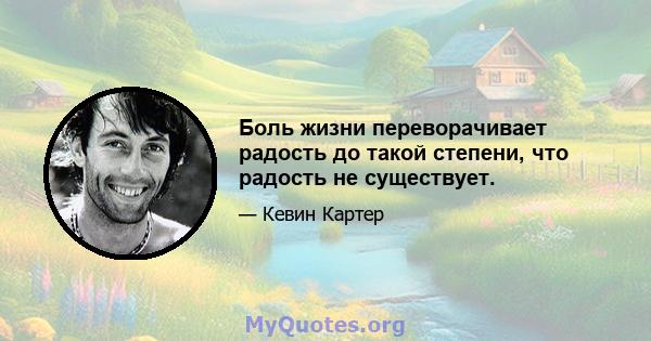 Боль жизни переворачивает радость до такой степени, что радость не существует.