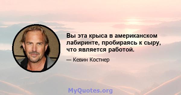 Вы эта крыса в американском лабиринте, пробираясь к сыру, что является работой.