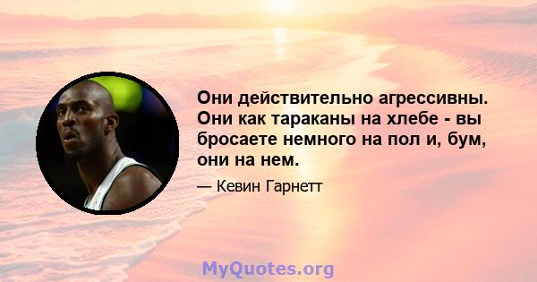 Они действительно агрессивны. Они как тараканы на хлебе - вы бросаете немного на пол и, бум, они на нем.