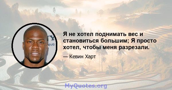 Я не хотел поднимать вес и становиться большим; Я просто хотел, чтобы меня разрезали.