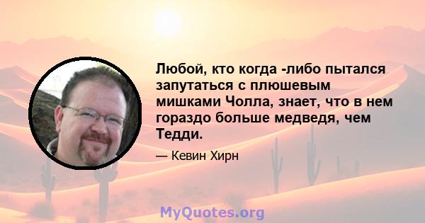 Любой, кто когда -либо пытался запутаться с плюшевым мишками Чолла, знает, что в нем гораздо больше медведя, чем Тедди.