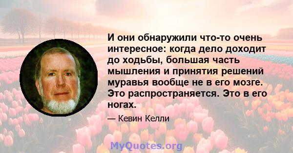 И они обнаружили что-то очень интересное: когда дело доходит до ходьбы, большая часть мышления и принятия решений муравья вообще не в его мозге. Это распространяется. Это в его ногах.