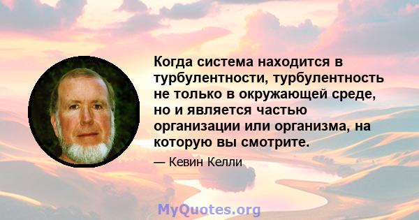 Когда система находится в турбулентности, турбулентность не только в окружающей среде, но и является частью организации или организма, на которую вы смотрите.