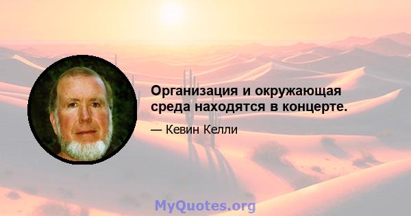 Организация и окружающая среда находятся в концерте.