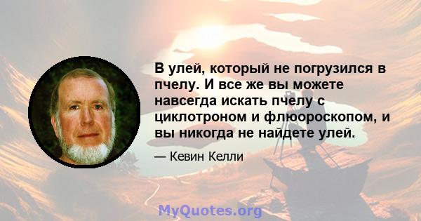 В улей, который не погрузился в пчелу. И все же вы можете навсегда искать пчелу с циклотроном и флюороскопом, и вы никогда не найдете улей.