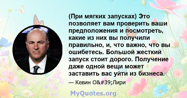 (При мягких запусках) Это позволяет вам проверить ваши предположения и посмотреть, какие из них вы получили правильно, и, что важно, что вы ошибетесь. Большой жесткий запуск стоит дорого. Получение даже одной вещи может 