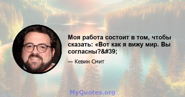 Моя работа состоит в том, чтобы сказать: «Вот как я вижу мир. Вы согласны?'