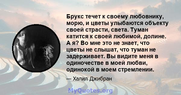 Брукс течет к своему любовнику, морю, и цветы улыбаются объекту своей страсти, света. Туман катится к своей любимой, долине. А я? Во мне это не знает, что цветы не слышат, что туман не задерживает. Вы видите меня в