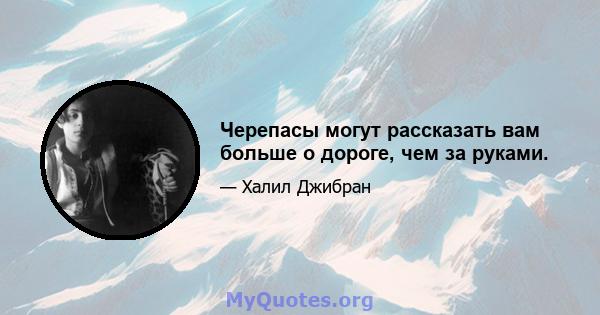 Черепасы могут рассказать вам больше о дороге, чем за руками.