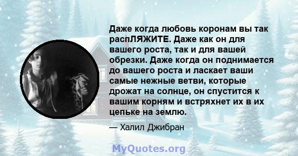 Даже когда любовь коронам вы так распЛЯЖИТЕ. Даже как он для вашего роста, так и для вашей обрезки. Даже когда он поднимается до вашего роста и ласкает ваши самые нежные ветви, которые дрожат на солнце, он спустится к