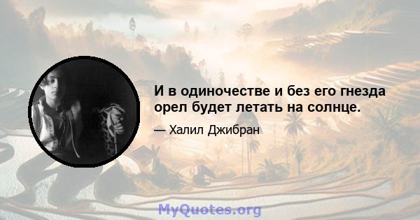 И в одиночестве и без его гнезда орел будет летать на солнце.