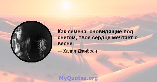 Как семена, сновидящие под снегом, твое сердце мечтает о весне.